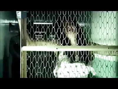 Blonde ជាមួយ tits ធំ ជញ្ជក់ មាន់ និង licks cum