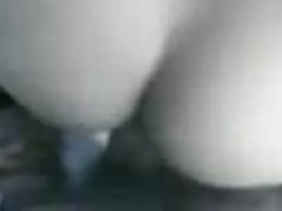 ការខួងរចនាប័ទ្មឆ្កែព្រៃ